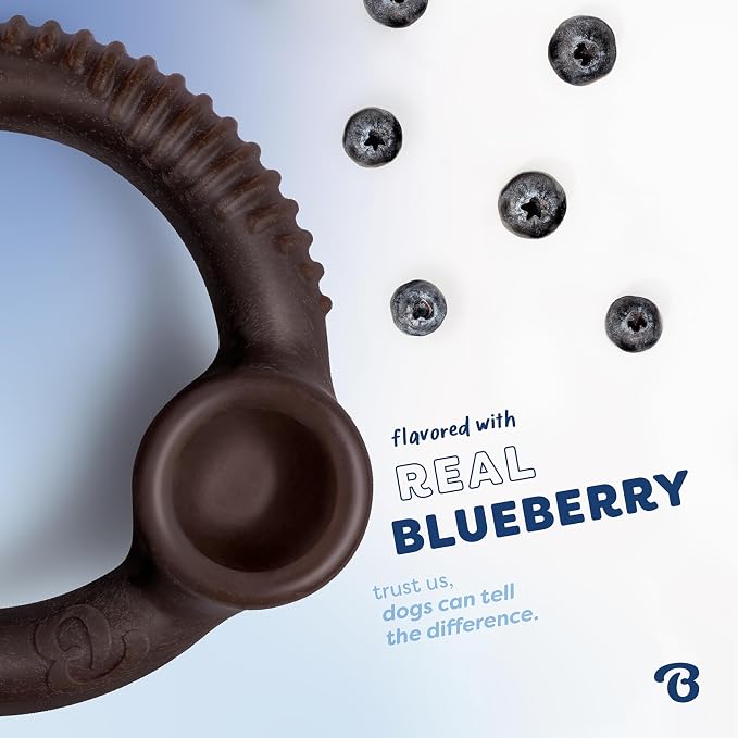 Benebone Ring Dog Chew Toy for Aggressive Chewers, Blueberry, Large | Durable, Super Chewer, Dog Bones, Long-Lasting, A Size for Every Dog, Keeps Them Busy