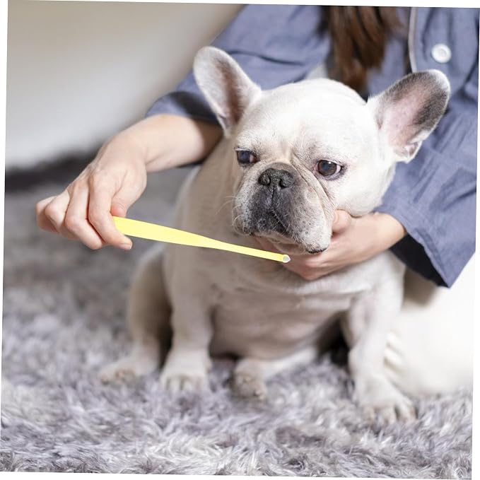 Soft Mini Head PET Toothbrush for Dogs and Cats Long Handle Oral Cleaning Tool Gentle Bristles for Small Breeds and Kittens for Regular Oral Hygiene