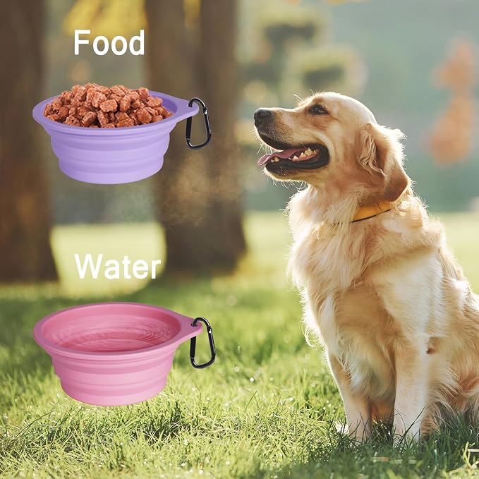 PetBonus Collapsible Dog Bowls, 2 Pack, Purple, Pink