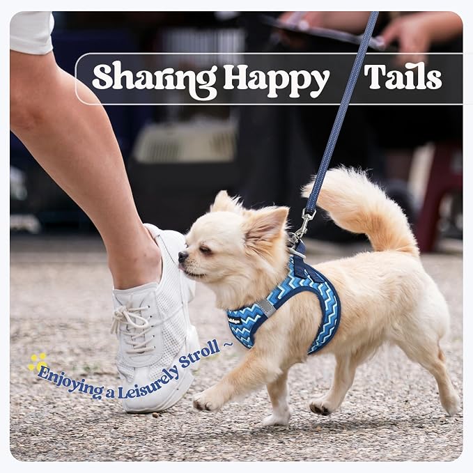 rabbitgoo Dog Harness Small Sized and Leash Set, Step-in Puppy Pet Vest | Light, Soft, Breathable Air Mesh, Easy on and Remove with Hook & Loop, Secure Reflective for Walking, Blue Zigzag S