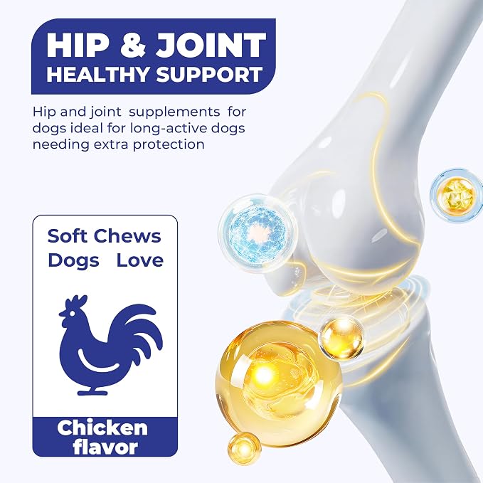 Hip & Joint Supplement for Dogs, Hip and Joint Chews Support Mobility, Senior Small All Breed Pain Relief with Glucosamine Chondroitin MSM Turmeric Green Lipped Mussel, Chicken Flavor, 100 Ct