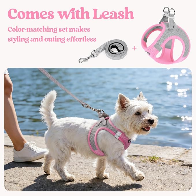 rabbitgoo Dog Harness Small Sized and Leash Set, Step-in Puppy Pet Vest | Light, Soft, Breathable Air Mesh, Easy on and Remove with Hook & Loop, Secure Reflective for Walking, Light Pink & Gray M