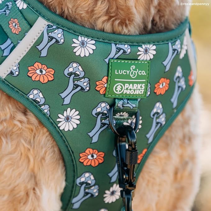 Lucy & Co. x Parks Project Power to the Parks No-Pull Dog Harness, Adjustable Front Clip Harness with Comfort Padding, X-Small