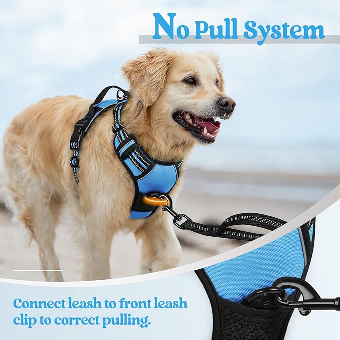 rabbitgoo Dog Harness, No Pull Medium Sized with 2 Leash Clips, Pet Vest | No Choke with Handle, Adjustable Soft Padded, Reflective, Easy Control for Walking, Blue, Medium