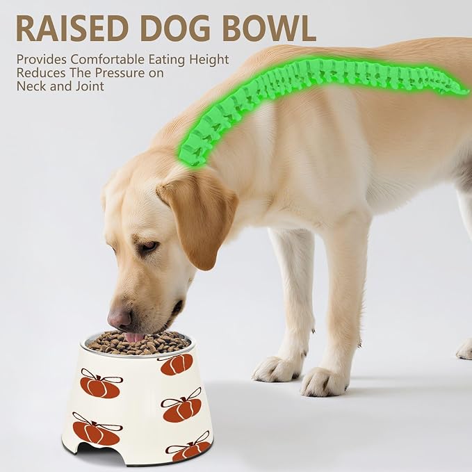 Blueangle Elevated Dog Bowls with Stainless Steel - Non-Slip 2.3 Cup High Capacity Pet Dish for Spinal Health & Pumpkins with Bows Design（155）