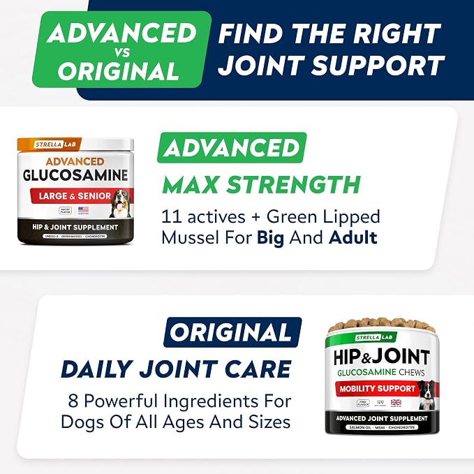 STRELLALAB Senior Advanced Glucosamine Joint Supplement for Dogs - Green Lipped Mussel & Collagen - Large Breeds - Hip & Joint Health - Bacon Flavor - 180 Chews
