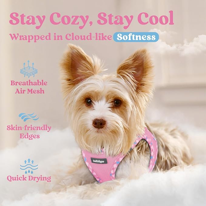 rabbitgoo Step-in Small Dog Harness, Puppy Vest for Small Sized Pet | Easy Put on and off, Lightweight, Soft, Breathable Quick-Dry Air Mesh for Comfortable Secure Walking, Pink & Plaid Trim M