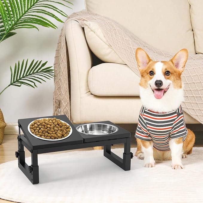 Dog Bowls Elevated Small, 3 Height(4.2" to 6") & Angle (0-20°) Adjustable Raised Dog Bowl Stand, Elevated Dogs Bowl Stand Pet, Sturdy Metal Dogs Feeding Station with 2X 20oz (2.5cup) Dishes