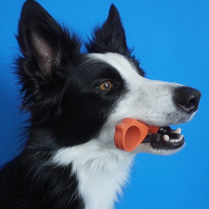 Paw Ready Pet Toothbrushing Assistant for Puppies' Dogs and Cats Allows You to Brush Your pet’s Teeth Without Constantly Worrying About Getting Bitten. (Orange, Medium)