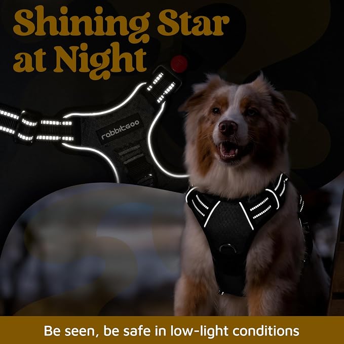 rabbitgoo Dog Harness Medium Sized, No Pull 3 Buckles Easy On & Off | Soft Padded, Walking with Control Handle, Adjustable and Reflective, Black, Medium