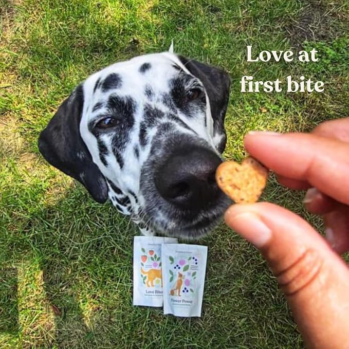 Love Bites Healthy Natural Dog Treats, Oven Baked Dog Cookies with Peanut Butter, Strawberry & Beet, Grain Free Limited Ingredient Snacks for Dogs, 2 Pack