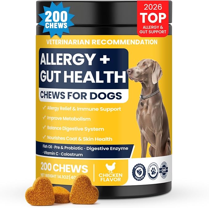 Dog Allergy Chews Probiotics for Dogs For Yeast 200ct, Itchy Skin and Itchy Ears Itch Relief Immune Pre Chews for Pet Digestive Gut Health Anti Itch for Itching and Licking / Dogs Yeast Supplement