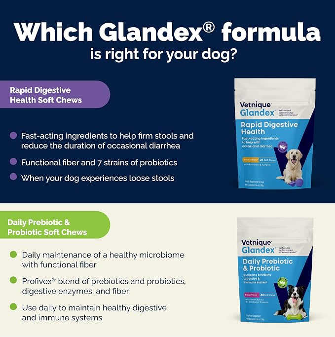 Vetnique Glandex Rapid Digestive Support for Dogs, Pumpkin + 7 Probiotics | Diarrhea Soft Chews to Firm Loose Stool, Pumpkin Fiber & 500M CFU Probiotics, Vet Formulated Chicken Flavor, 25 Count