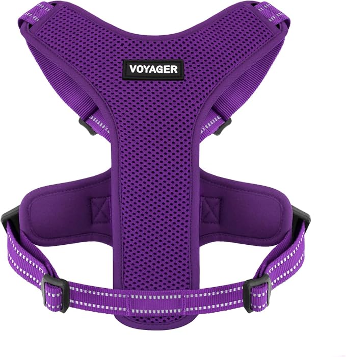 Air Frontier Mesh Dog Harness with Steel Leash D-Ring, Reflective Stitching, and Lightweight Breathable No-Pull Design, Adjustable Neck and Chest Straps for Small to Large Breeds - PPW, XS
