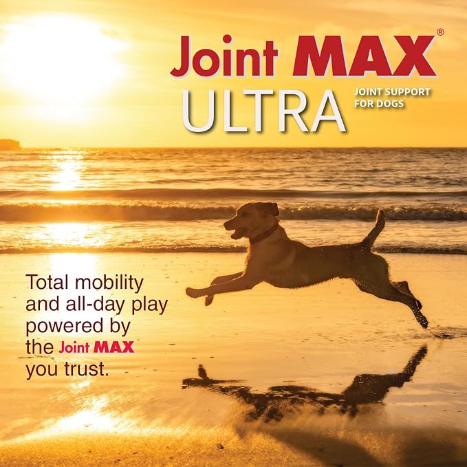 Ultra Advanced Hip & Joint Support for Dogs – All-in-One Soft Chews with Glucosamine, MSM, Omega-3s (EPA & DHA), Hyaluronic Acid & Boswellia – Maximum Strength Mobility & Comfort – 120 Chews