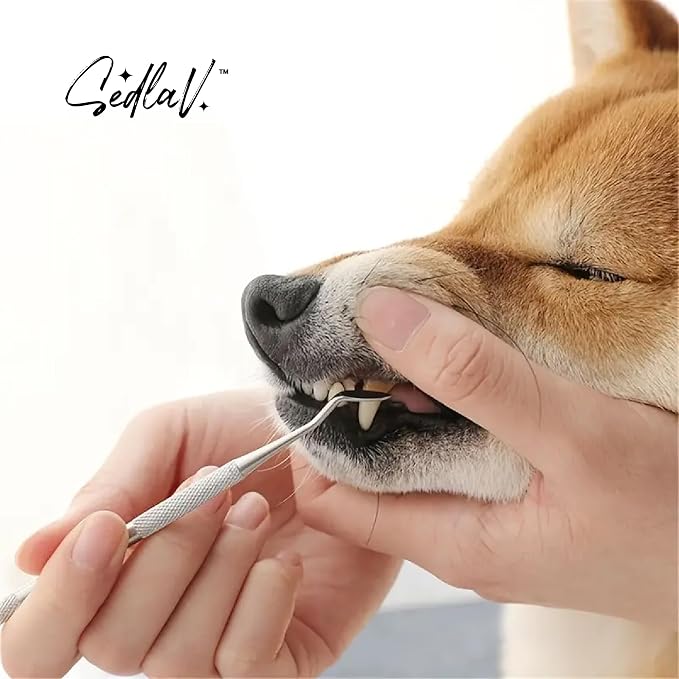 SEDLAV Professional Dental Tartar Scraper & Dog Teeth Cleaning Set - Ultrasonic Plaque Remover for Teeth, Dog Finger Toothbrush, Portable, Easy to Use, Large Breed Friendly