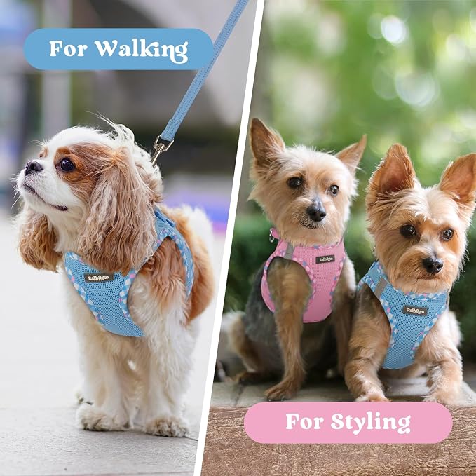 rabbitgoo Step-in Small Dog Harness, Puppy Vest for Small Sized Pet | Easy Put on and off, Lightweight, Soft, Breathable Quick-Dry Air Mesh for Comfortable Secure Walking, Blue & Plaid Trim XXS