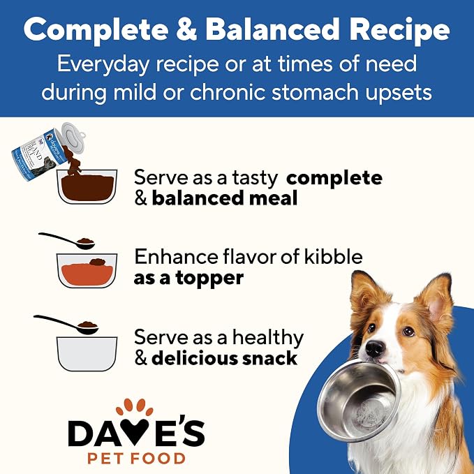 Dave's Pet Food Bland Diet Dog Food, Chicken & Rice, 13.2 oz, 12 pk