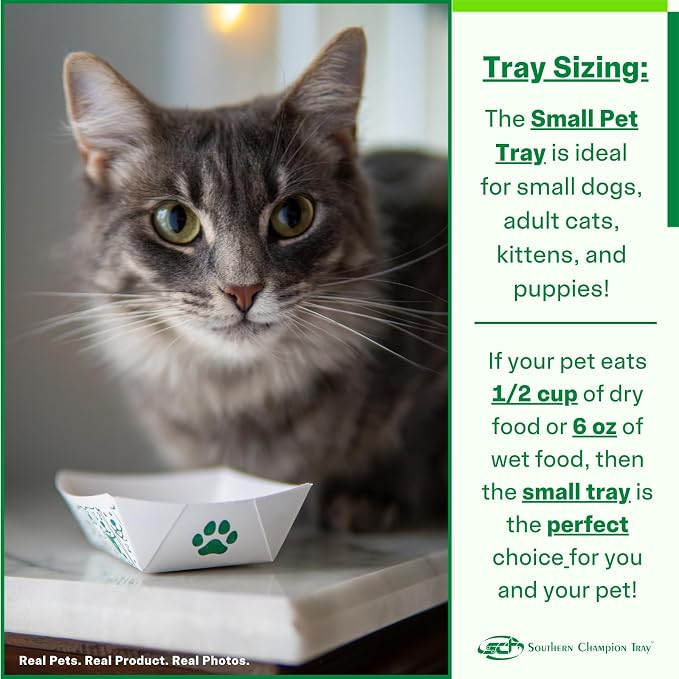 SCT Small Disposable Pet Food Bowl, 1/2 Cup, 100 Count