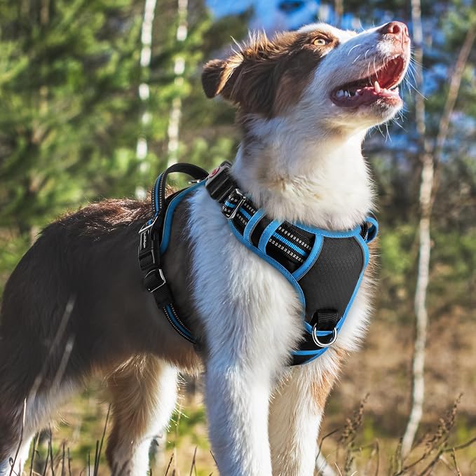 rabbitgoo Dog Harness Medium Sized, No Pull 3 Buckles Easy On & Off | Soft Padded, Walking with Control Handle, Adjustable and Reflective, Black & Blue, Medium