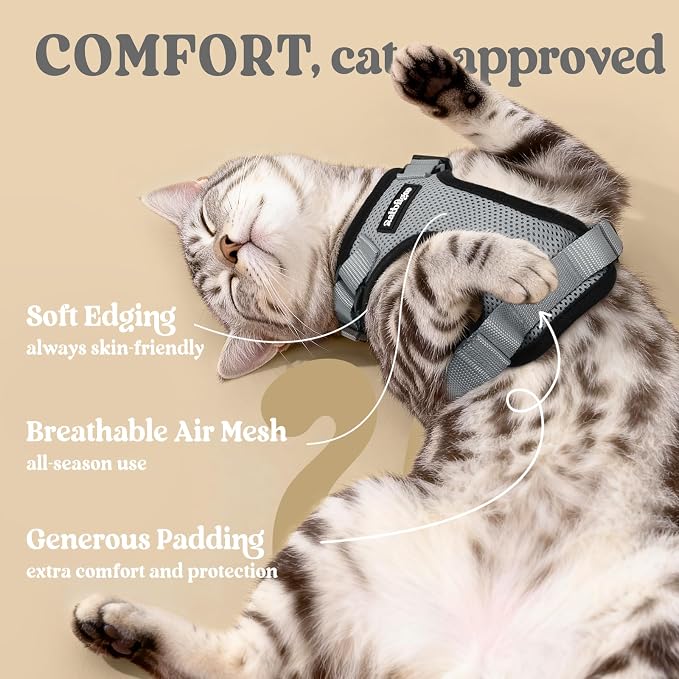 rabbitgoo Cat Harness and Leash Set, Escape Proof Vest, Grey | Soft Breathable Mesh, Easy Adjustable Fit, Snap Buckles, Sturdy Clip, Reflective Strips, for Kittens & Small Cats Walks, Xxs