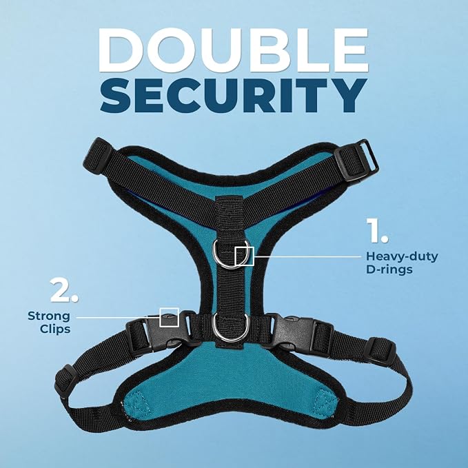Voyager Step-in Lock Dog Harness - Turquoise/Black Trim, Large | 20 - 25" in Chest, Adjustable, Breathable Air Mesh, Lightweight for Daily Walks, Strong Clips, Heavy Duty D-Ring
