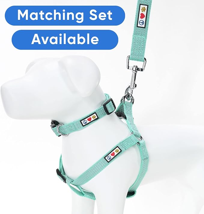 Pawtitas Teal Dog Leash 6 ft XS/S Reflective Durable Lightweight Dog Lead for Small Dogs and Puppies