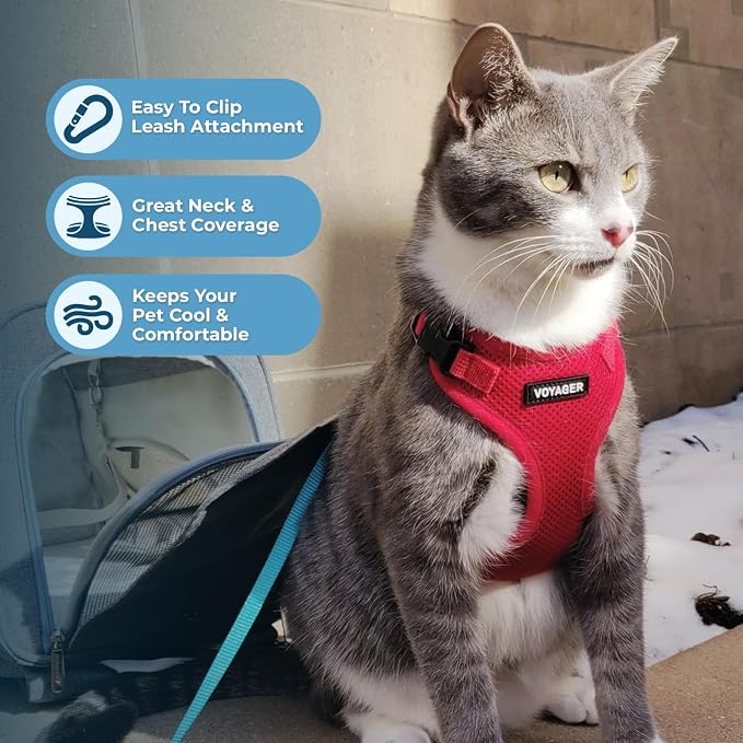 Voyager Escape-Proof Step-in Lock Cat Harness & 5ft Neoprene-Handle Leash Set All-Weather Mesh with Reflective Stitching for Small to Large Cats by Best Pet Supplies, Red, S