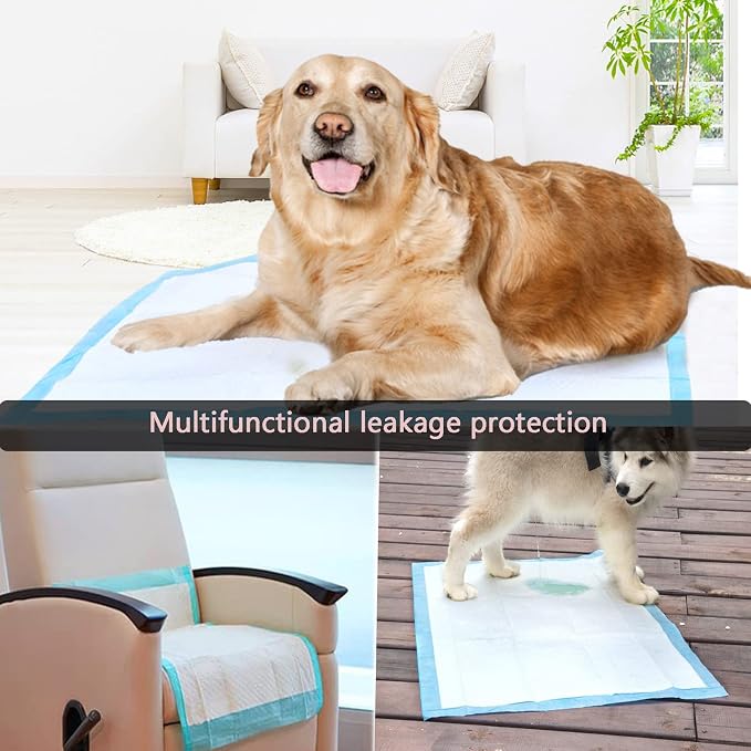 Extra Large Puppy Pads,36"x36" Pee Pads for Dogs,50 Count Training Dog Pee Pads Absorbent & Leak-Proof &Quick Dry,Disposable Pet Potty Pads for House Training Dogs Cats, Rabbits.