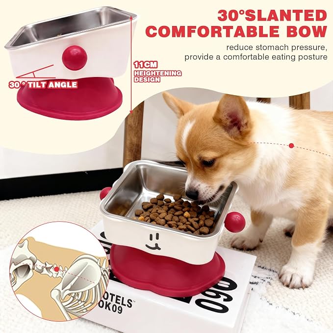 Elevated Cat & Small Dog Bowl - 30° Slanted Anti-Slip Feeding Bowl, Detachable Stainless Steel Design, Reduces Stomach Pressure, Comfortable Eating Posture, Easy to Clean, Fits Cats & Small Breeds