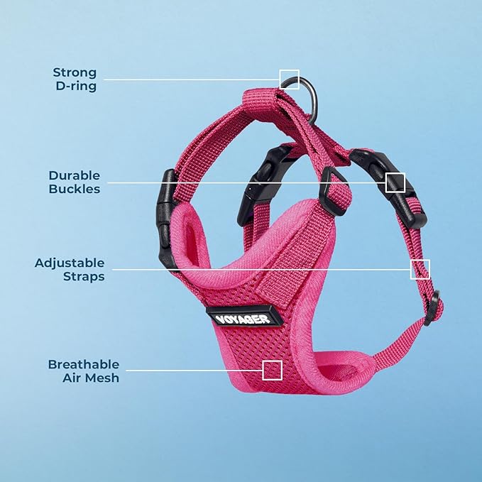 Voyager Step-in Lock Dog Harness - Fuchsia, Large | 20 - 25" in Chest, Adjustable, Breathable Air Mesh, Lightweight for Daily Walks, Strong Clips, Heavy Duty D-Ring