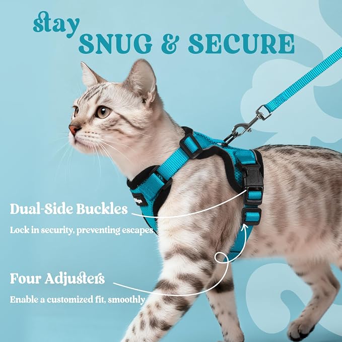 rabbitgoo Cat Harness and Leash Set, Escape Proof Vest, Teal | Soft Breathable Mesh, Easy Adjustable Fit, Snap Buckles, Sturdy Clip, Reflective Strips, for Small & Average Cats Walks, Xs