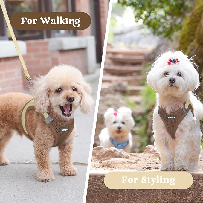 rabbitgoo Step-in Small Dog Harness, Puppy Vest for Small Sized Pet | Easy Put on and off, Lightweight, Soft, Breathable Quick-Dry Air Mesh for Comfortable Secure Walking, Brown & Beige M