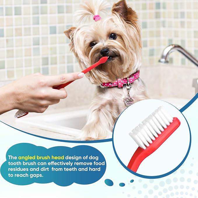 Navona 30 PCS Dog Toothbrushes, Double Headed Anti Slip Dog Tooth Brushing Kits, Cat Toothbrush, Pet Toothbrush for Dogs, Easy to Clean and Care for Teeth, Suitable for Small to Large Dogs and Cats