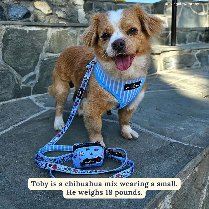Lucy & Co. 5 Foot Designer Dog Leash for Small, Medium or Big Dogs or Puppies Puppy – Pet Accessories & Supplies - Large - White with Blue Bows