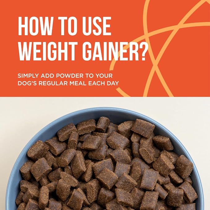 Dog Weight Gainer (604 Servings) - High Calorie Supplement for Dogs - Weight Gain Supplements for Dogs - Dog Protein Powder & Muscle Builder - Made in USA (2-Pack of 5 Pounds).