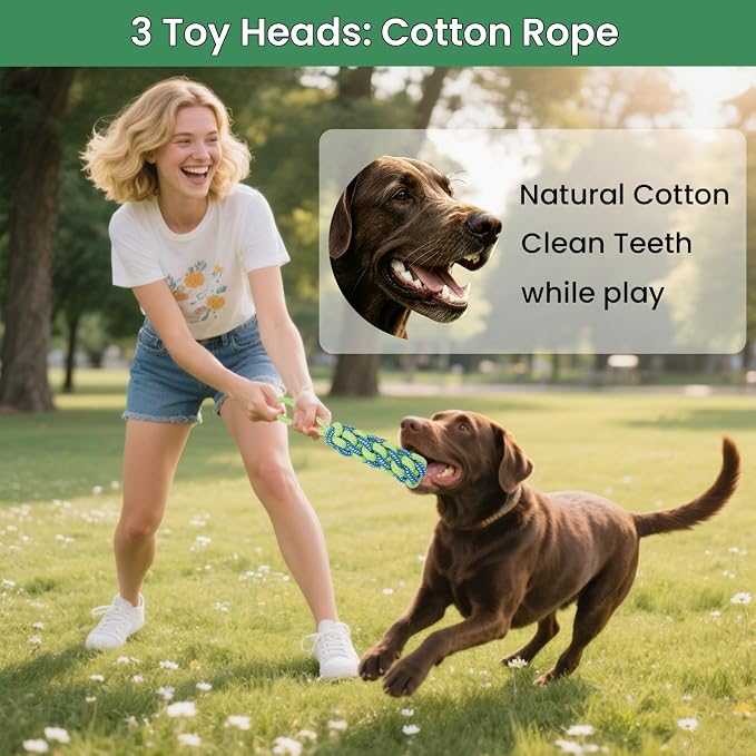 Dog Door Bungee Tug Toy, 4 Pieces, Small Medium Dogs 20 to 50lbs | 5ft Bungee Rope, Indoor & Outdoor Hanging, Tree Tether Rope for Yard, Spring Pole, Interactive, Tug of War, Ball