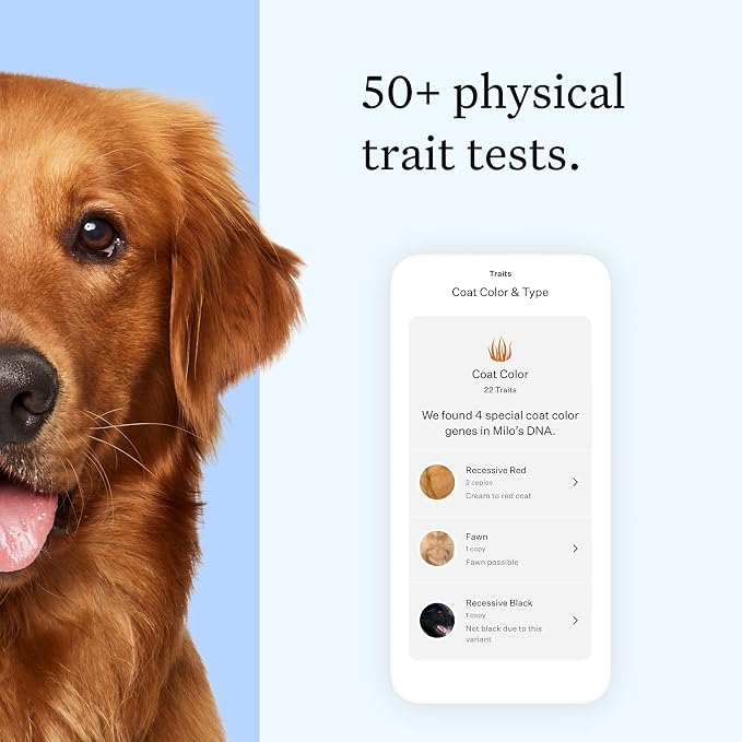 Wisdom Panel Essential DNA Test Kit, 1-Pack