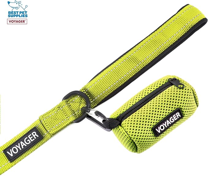 Voyager Step-in Air All Weather Mesh Harness and Reflective Dog 5 ft Leash Combo with Neoprene Handle, for Small, Medium and Large Breed Puppies by Best Pet Supplies - Green, Medium