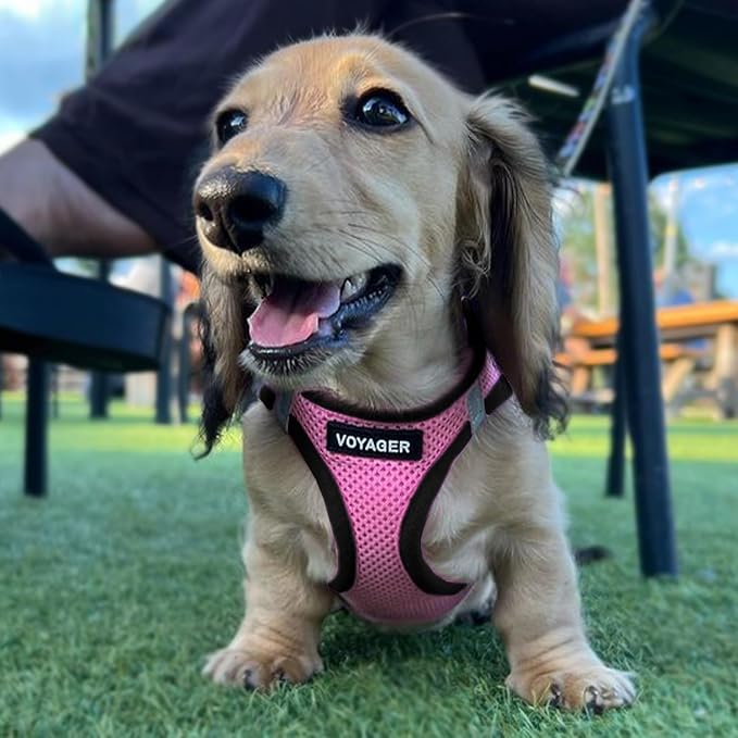 Voyager Step-in Air Dog Vest Harness - Pink/Black Trim, X-Large | 20.5 - 23" in Chest, Reflective Bands, All Weather Breathable Air Mesh, Cats Compatible, Lightweight, Fast Drying