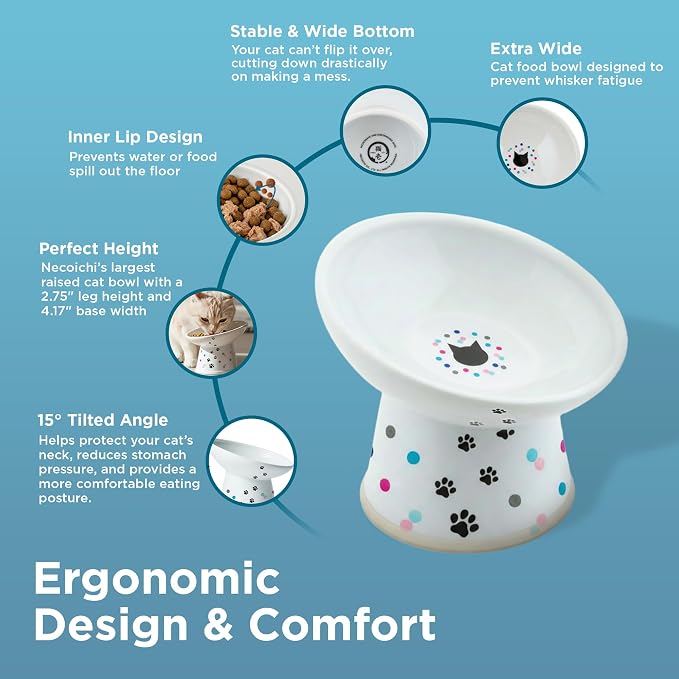 Necoichi Raised Cat Food Bowl – Ceramic Elevated 15° Tilted Cat Bowl for Whisker & Neck Fatigue, Dishwasher Microwave Safe – Non-Slip & Anti Vomiting Ergonomic Design (Colorful Dots, Regular Tilted)