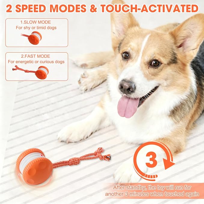 Interactive Dog Toy,Random Path Automatic Electric Rolling Toy with Rope,Motion-Activated Dog Stimulation Toy for Chewing and Playing,Boredom Relief,for Small Medium Large Dogs (Blue)
