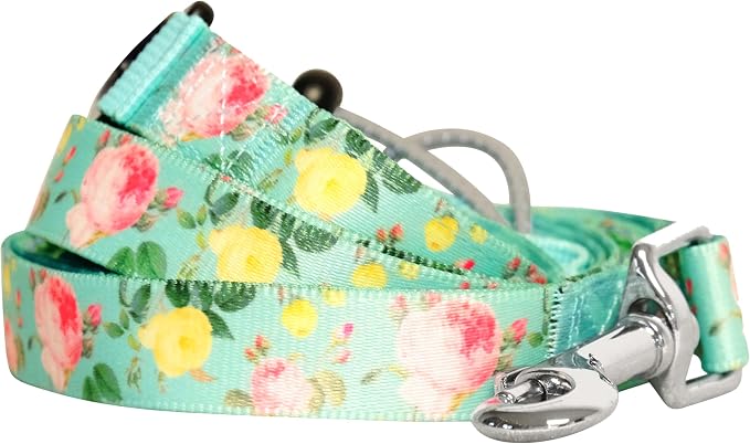 Blueberry Pet Rose Garden Dog Leash, Mint Green Floral Print, 5 ft x 5/8”, Small, Leashes for Dogs