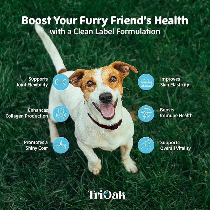 Hydrolyzed Liquid Collagen Drops for Dogs: Grass-Fed Bioactive Collagen Peptides - 4-in-1 Hip & Joint Supplement, Skin & Coat, Itch Relief & Mobility Support - for Dogs Ages