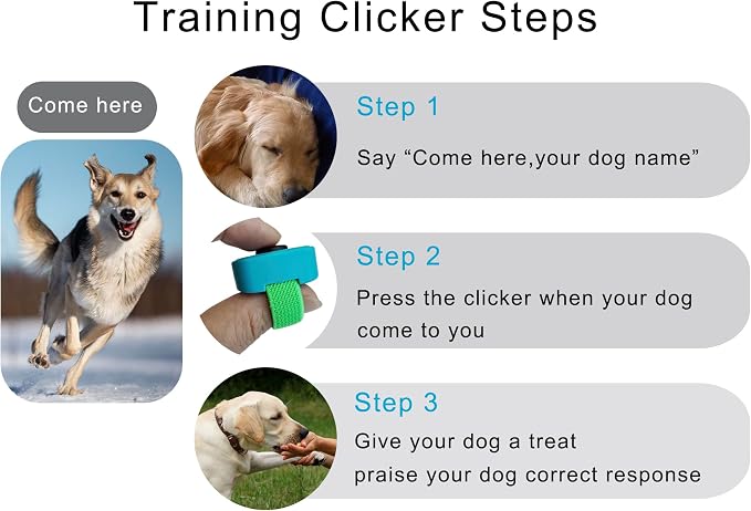 Pet Clicker, Mini Finger, Black & Blue