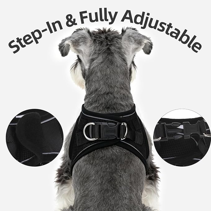 PUPTECK Dog Harness and Leash Set for Small Medium Dogs No Pull Step-in Soft Mesh Puppy Cat Vest Harnesses Reflective at Night, Black Bow Tie