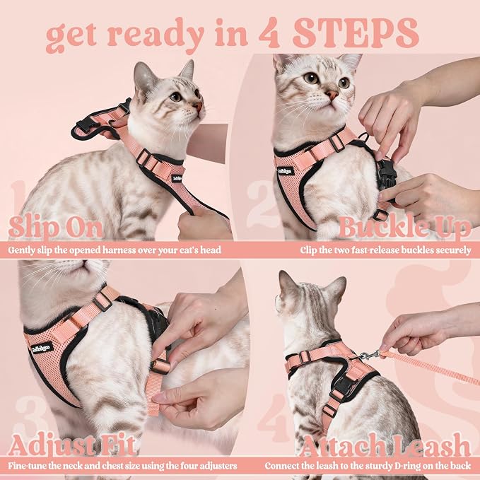 rabbitgoo Cat Harness and Leash Set, Escape Proof Vest, Light Salmon Pink | Soft Breathable Mesh, Easy Adjustable Fit, Snap Buckles, Sturdy Clip, Reflective Strips, for Small & Average Cats Walks, Xs