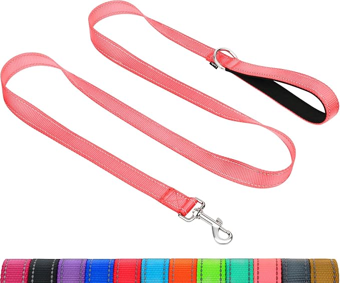 Taglory Reflective Dog Leash for Small Dogs, 3/4in x 4ft, Pink | Ideal for Night Walking, Strong for Sudden Pulls, Lightweight & Gentle on the Neck, Soft Padded Handle