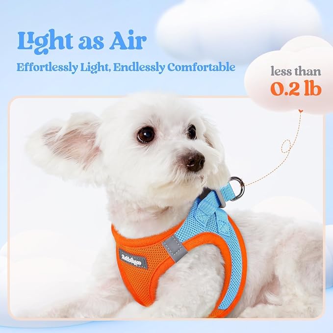 rabbitgoo Dog Harness Medium Sized and Leash Set, Step-in Puppy Pet Vest | Light, Soft, Breathable Air Mesh, Easy on and Remove with Hook & Loop, Secure Reflective for Walking, Blue & Orange XL