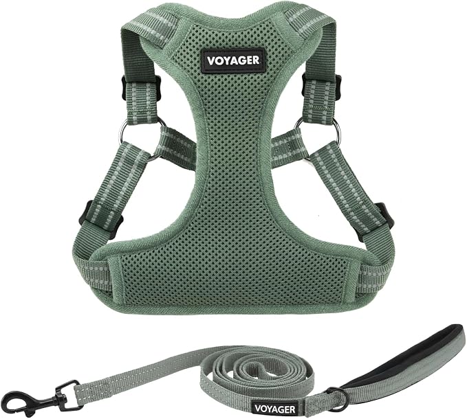Best Pet Supplies Voyager Adjustable Step-in Flex Breathable Mesh Dog Harness for Small Medium Large Dogs Leash Set (Moss Green), M
